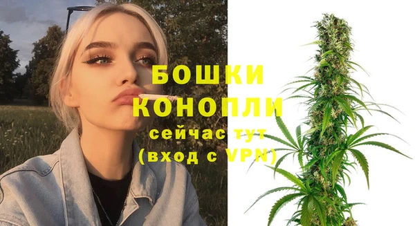 дмт Карпинск
